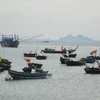 Patrols increased to minimise violation by foreign fishing ships
