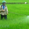Vietnam bans weed killer ingredient glyphosate