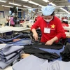 CPTPP: Vietnamese exporters set for bonanza in Canadian market 
