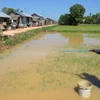 Cambodia to sue EU over rice tariff