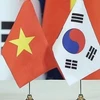 Association contributes to consolidating Vietnam-RoK relations 
