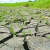 Climate change plan needs to cover vulnerable groups