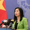 We are glad that Doan Thi Huong is reunited with family: Ministry