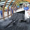 Vinacomin produces nearly 15 million tonnes of coal in four months 