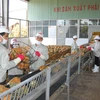 Vietnamese firms seek to adapt to official exports to China