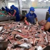 Vietnam’s tra fish exports to ASEAN up 18 percent