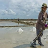 Cambodia may face salt shortage this year