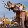 Elephant procession held to honour King of Thailand