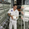 Dinh Vu polyester fibre plant opens two more lines