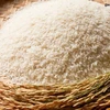 Local firms to export 84,000 tonnes of rice to China
