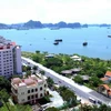 Vietnam holds huge potential in resort market