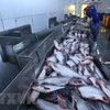 Tra fish shipments to US, China fall 