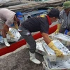 National Steering Committee on IUU Fishing Prevention set up