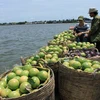 Vietnam’s exports to Thailand shoot up