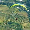 Yen Bai: paragliding festival becomes signature tourism product 