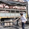 African swine fever continues to spread