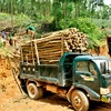 Agriculture ministry gathers ideas for timber regulations