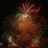 Da Nang International Fireworks Festival opens