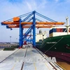 Vietnam looks to build criteria for ecological seaports 