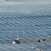 Thai investors beam capital into solar power projects in Vietnam
