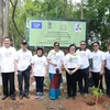 Thai Forest Department, Indian Embassy plant trees commemorating Gandhi