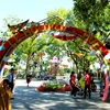 Kite festival kicks off in Thua Thien-Hue 