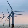 Investor permitted to start survey for giant offshore wind power farm 