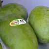 Son La exports more mangoes to UK