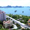 Real estate market booming in Quang Ninh 