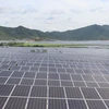 Growth demand fuels solar power boom in Vietnam