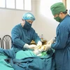 Patients get free surgical operations