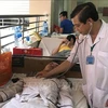 HCM City records five dengue deaths in six months