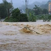 Thanh Hoa strives to be more disaster resilient this rainy season