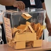 Malaysia lowers voting age from 21 to 18