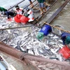 Vietnam in urgent need of brands for tra fish