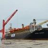 Vinh Tan int’l sea port welcomes first foreign vessel