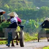 Over 5,400 communes nationwide become new-style rural areas