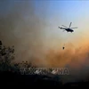 Indonesia deploys thousands of security personnel to fight forest fires