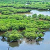 Government issues decree on wetlands conservation