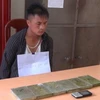 Two men smuggling six heroin bricks arrested in Dien Bien 