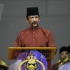 Brunei hails important role of ASEAN’s partner countries 