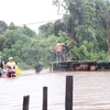 Heavy rain, flooding cause losses in Dak Lak province