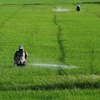 Thailand ceases licensing agricultural chemicals