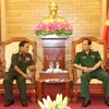 Vietnamese, Lao armies enhance ties in internal political protection