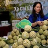 Lang Son promotes local Chi Lang custard-apple in Hanoi 