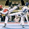 Vietnam win 35 golds at Asian Open Taekwondo Championship