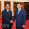 Deputy PM lauds growing ties between Vietnamese, Lao NAs 