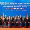 Asia-Pacific countries push ahead with RCEP negotiations