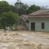 About four storms to hit mainland in remaining months of 2019 