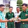 Ba Ria-Vung Tau: Rare sea turtle released into nature